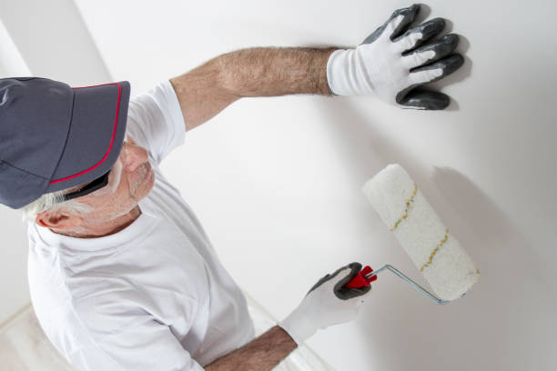 Best Black Mold Removal  in Sunflower, MS