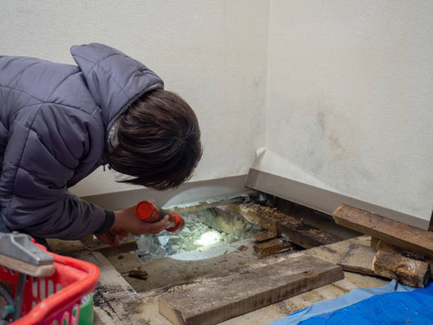 Best Environmental Consulting for Mold Prevention  in Sunflower, MS