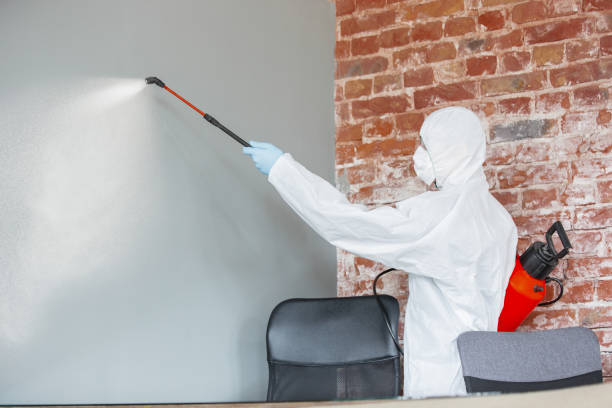 Best Post-Remediation Verification Testing  in Sunflower, MS