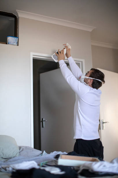 Best Basement Mold Removal  in Sunflower, MS