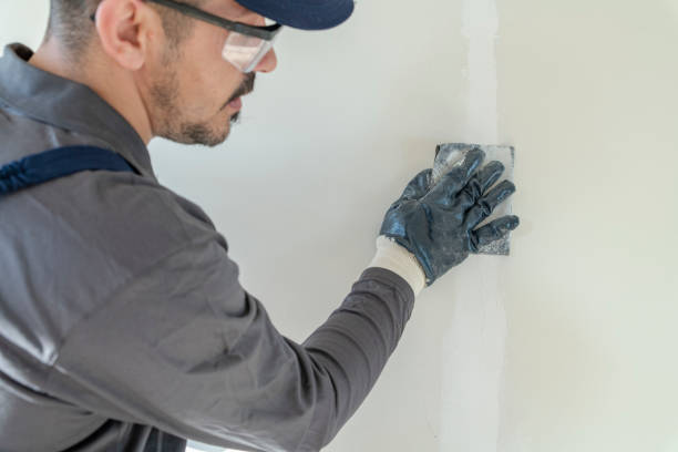 Best Comprehensive Air Testing for Mold Contaminants  in Sunflower, MS