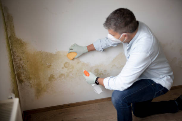 Asbestos and Lead Testing During Mold Inspection in Sunflower, MS