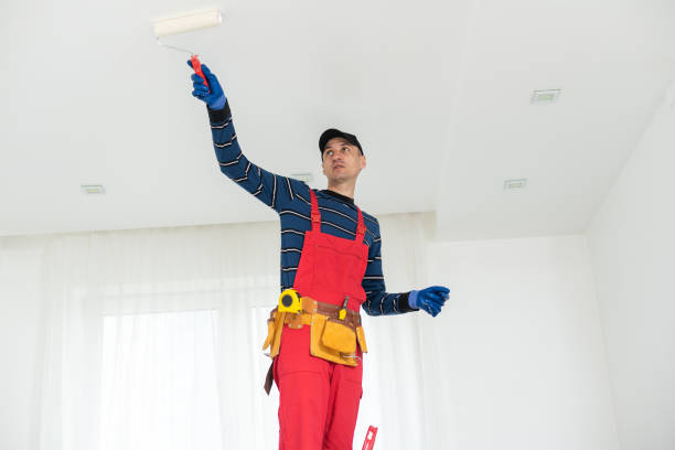 Best Mold Removal for HVAC Installations  in Sunflower, MS