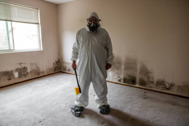 Best Commercial Mold Inspection  in Sunflower, MS